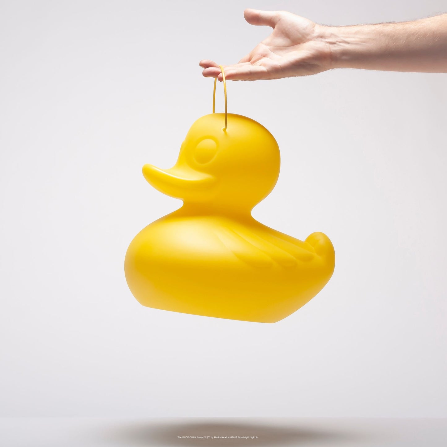 the duck duck lamp S
