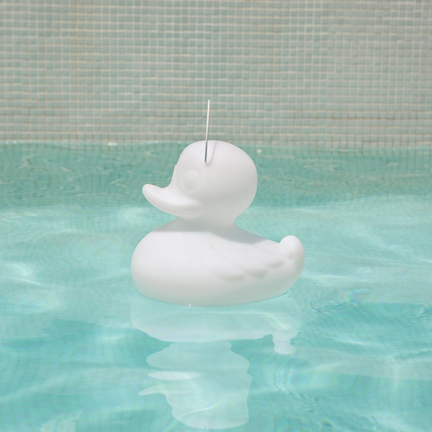 the duck duck lamp XL