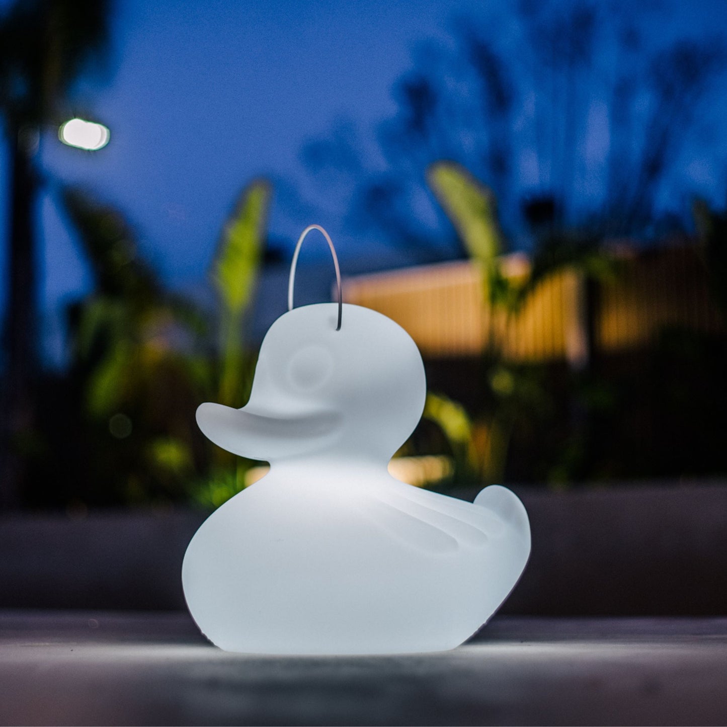 the duck duck lamp S