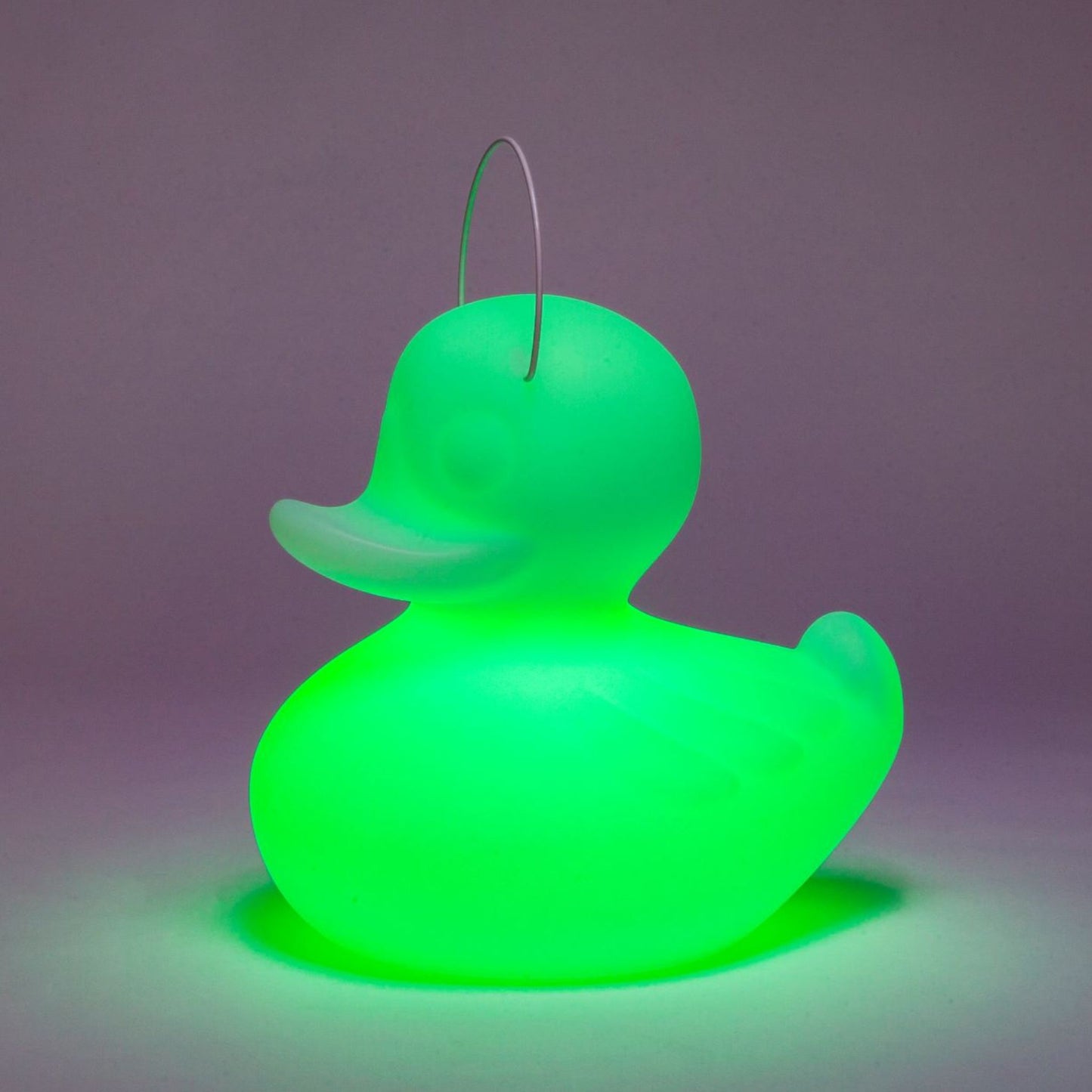 the duck duck lamp S