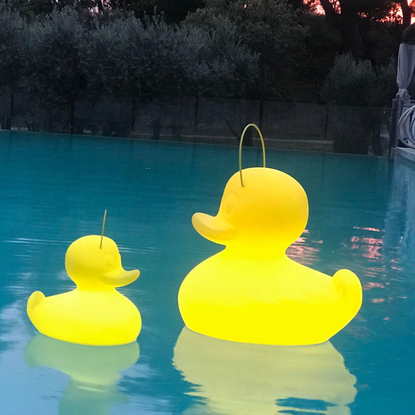 the duck duck lamp XL
