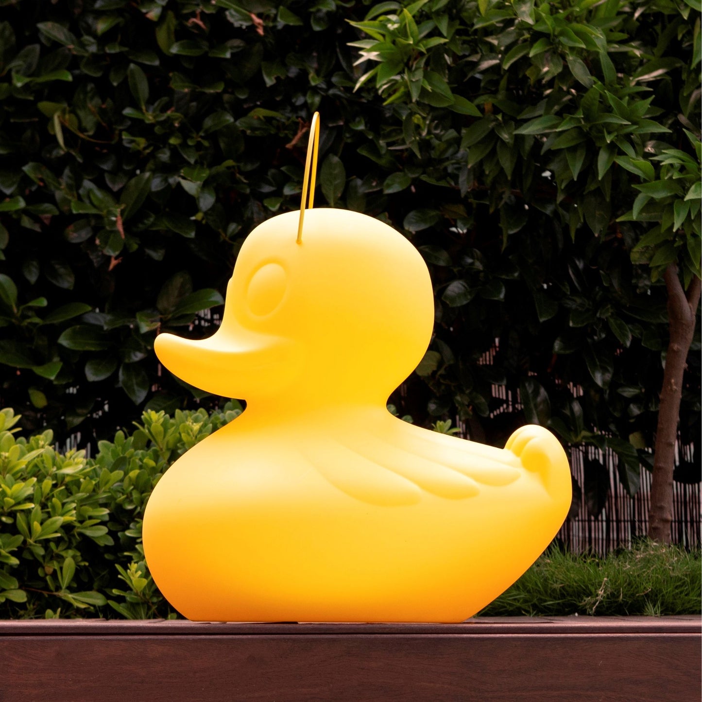 the duck duck lamp XL