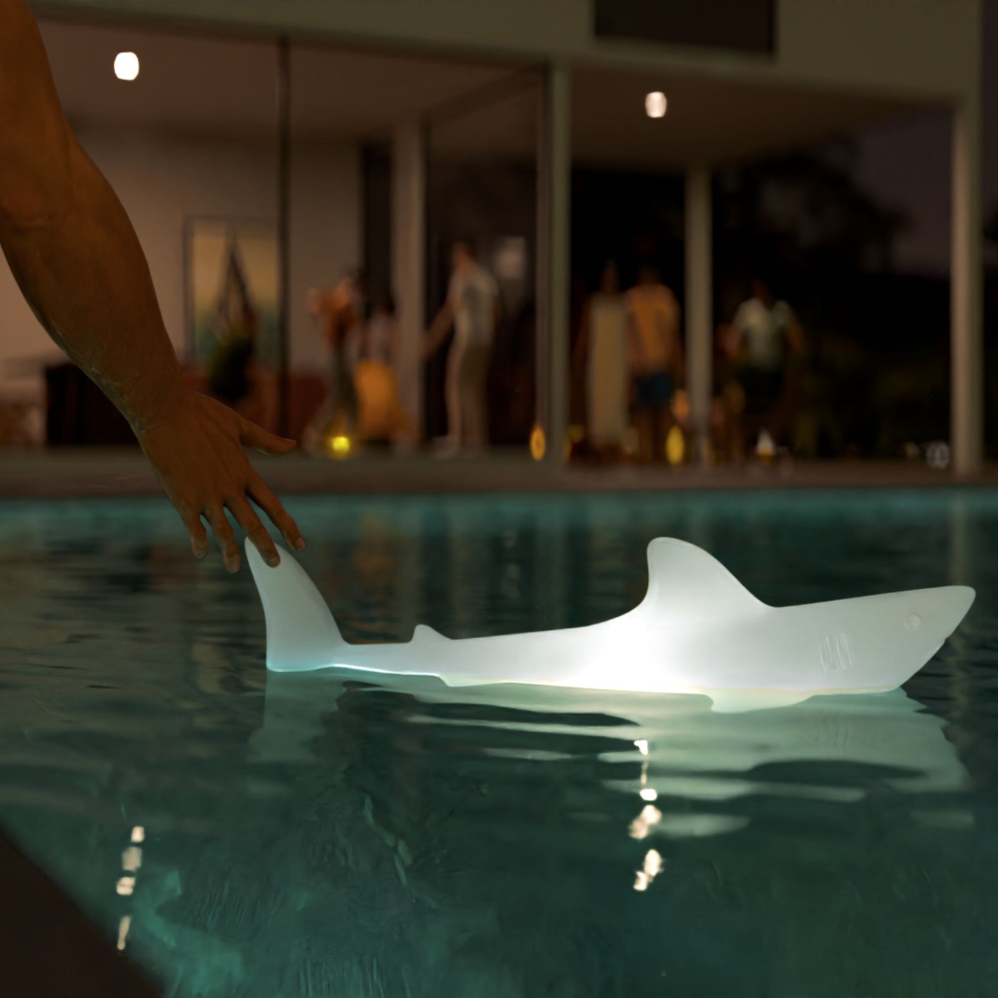 bobb the shark lamp