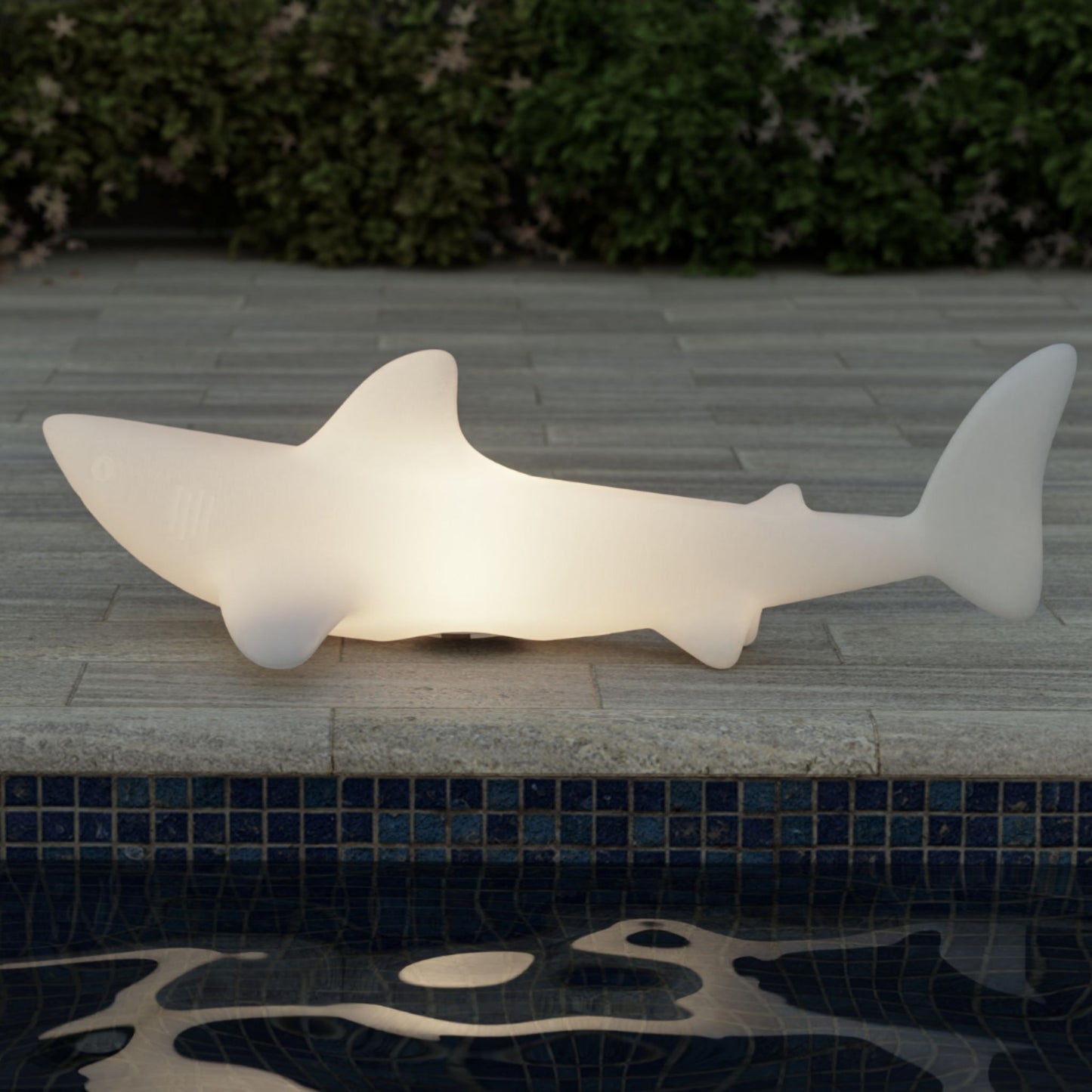 bobb the shark lamp