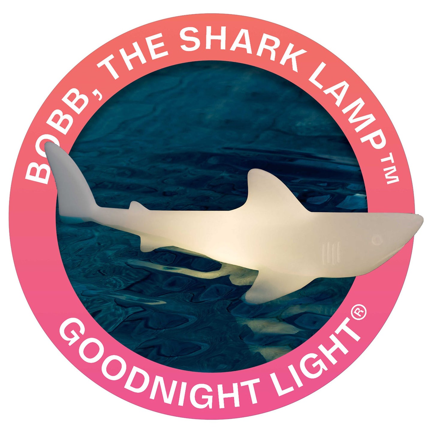 bobb the shark lamp