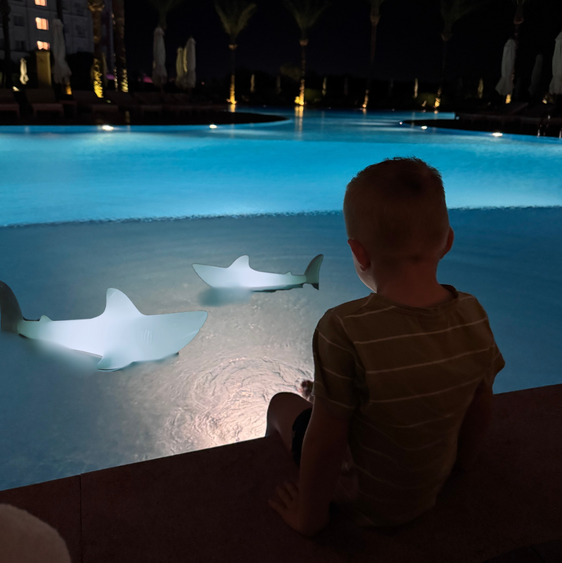 bobb the shark lamp