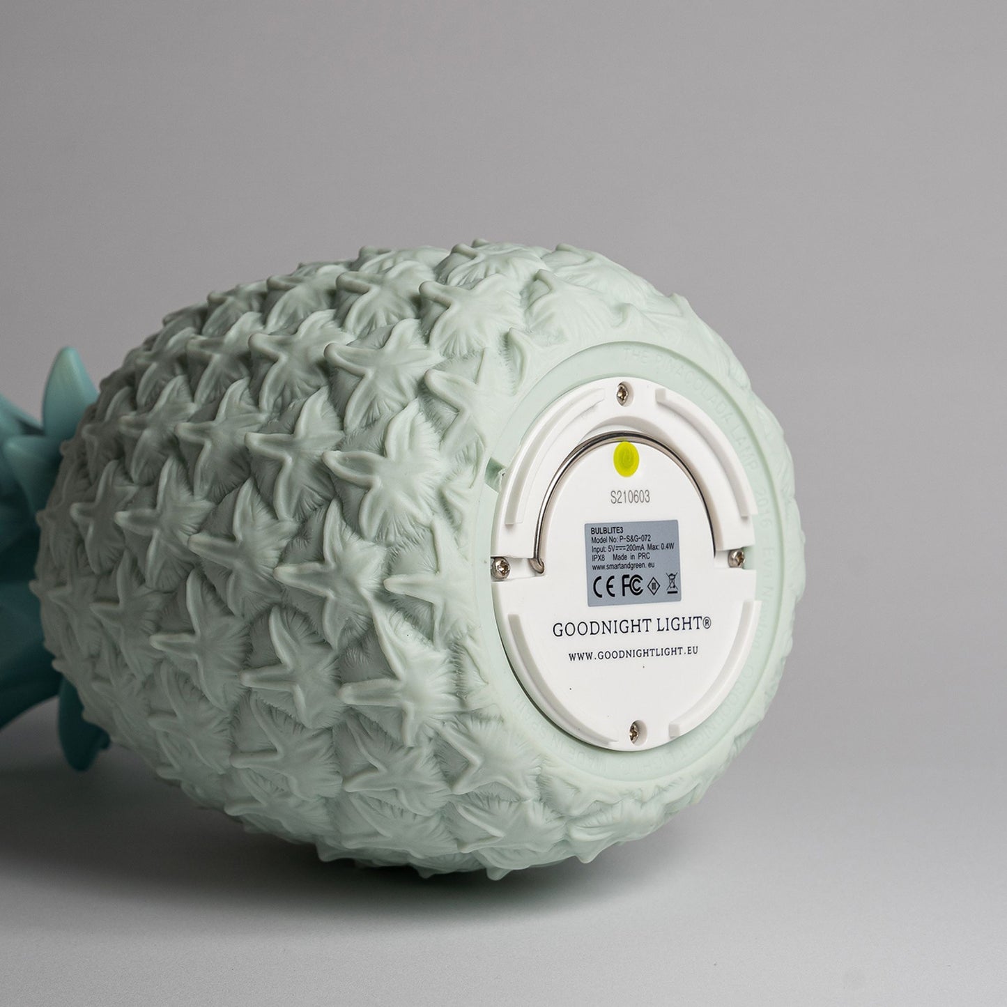 the pinacolada lamp