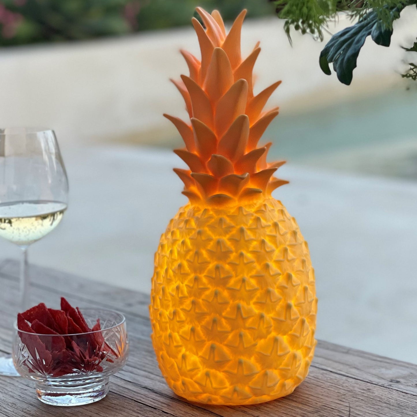 the pinacolada lamp