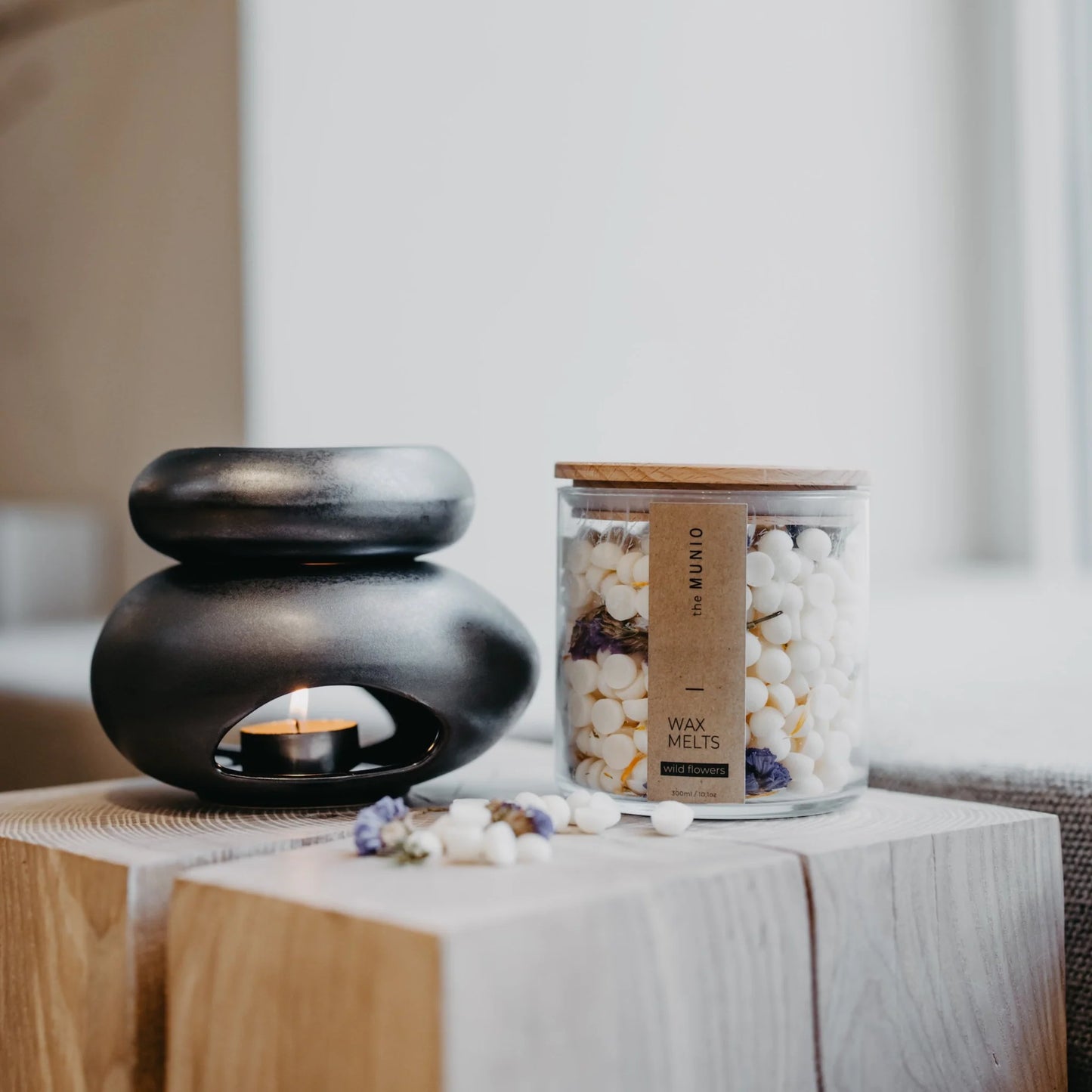 Ceramic Wax Melter