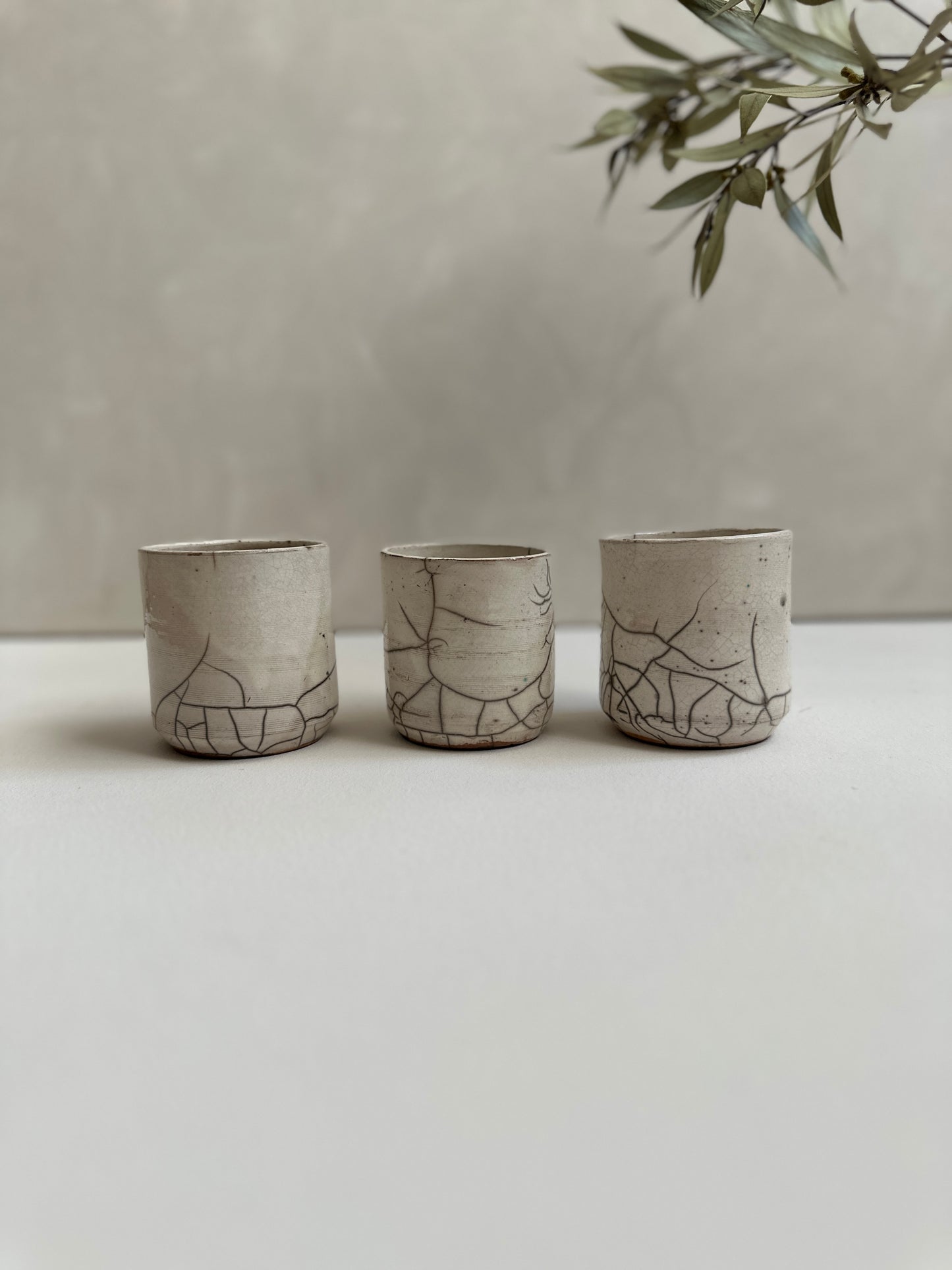 Racu Cup