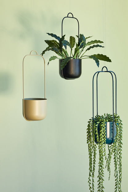 Lotus Hängetöpfe Schwarz (2er Set)