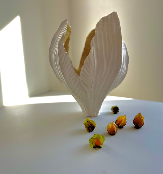 Physalis 09